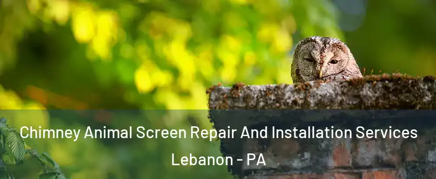 Chimney Animal Screen Repair And Installation Services Lebanon - PA