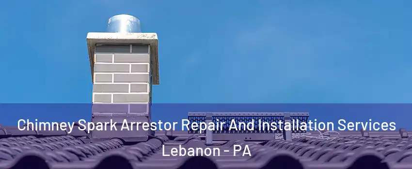  Chimney Spark Arrestor Repair And Installation Services Lebanon - PA