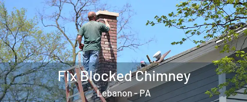  Fix Blocked Chimney Lebanon - PA