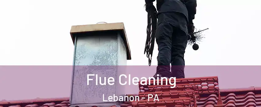  Flue Cleaning Lebanon - PA