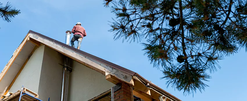 Birds Removal Contractors from Chimney in Lebanon, PA