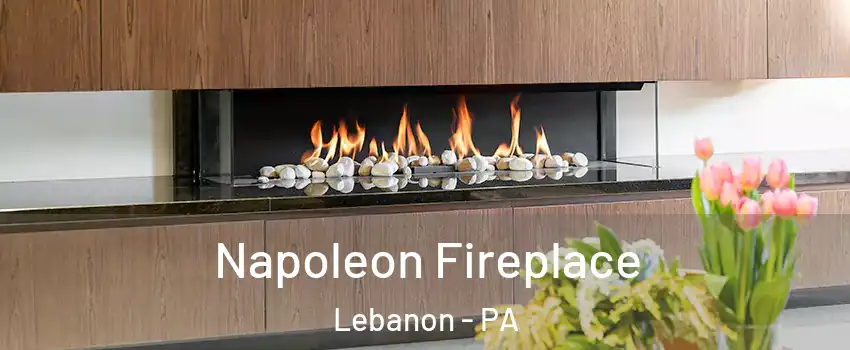  Napoleon Fireplace Lebanon - PA